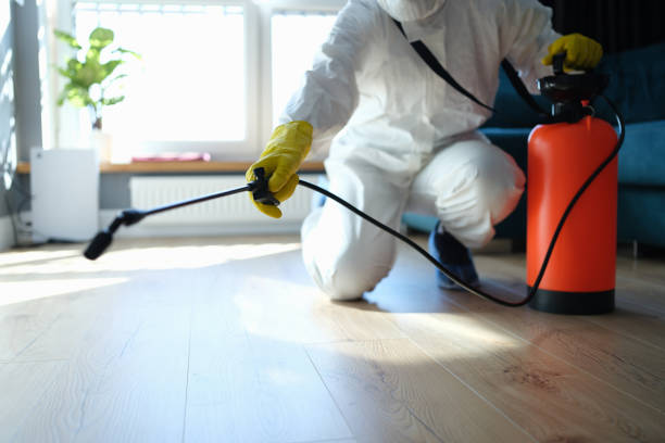 Reliable Biohazard Cleanup contractor in Morton, WA by Crime Scene Cleaner Online